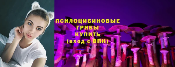 Альфа ПВП Вязьма