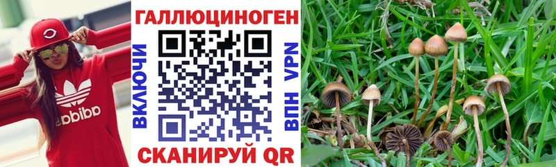 где можно купить наркотик Грязи маркетплейс официальный сайт Псилоцибиновые грибы Magic Shrooms