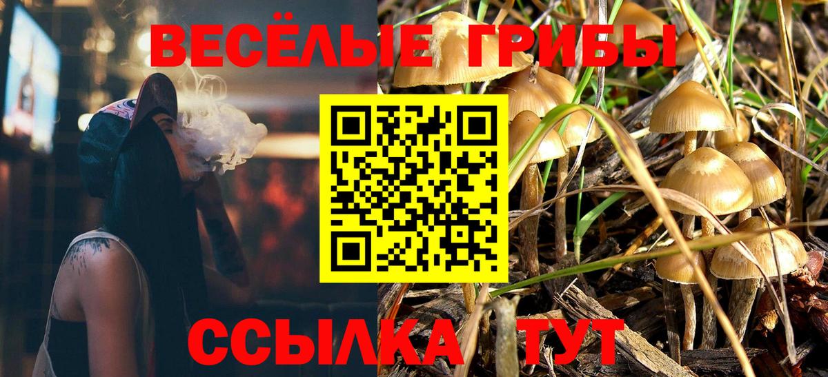 Псилоцибиновые грибы Magic Shrooms  Вход с VPN  Грязи 