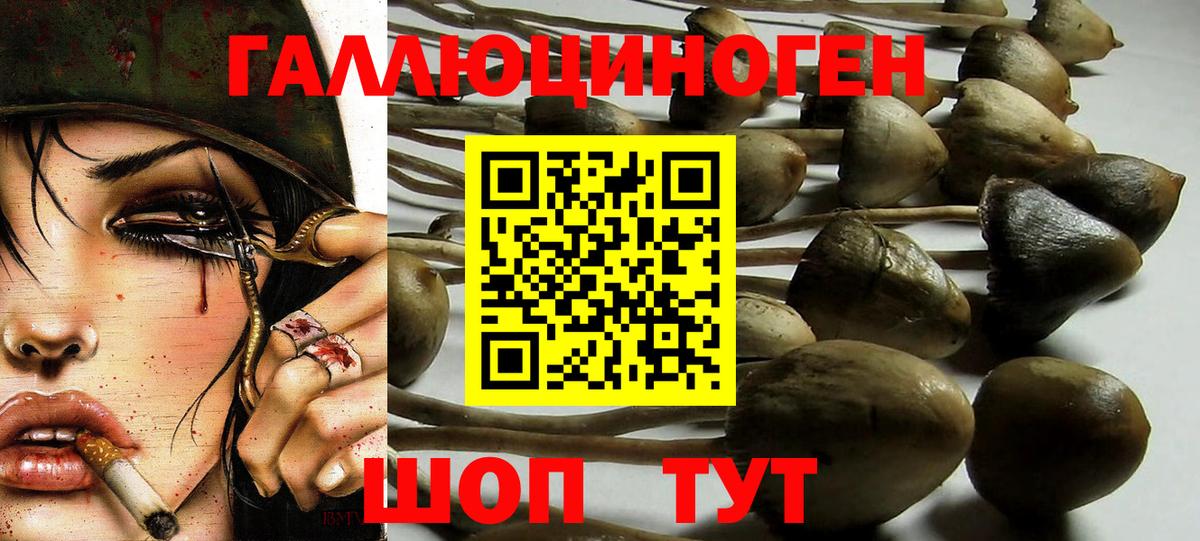 Псилоцибиновые грибы прущие грибы  Грязи 