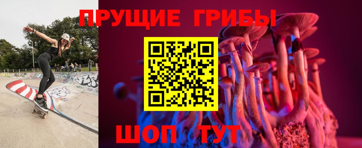 Псилоцибиновые грибы Cubensis Грязи