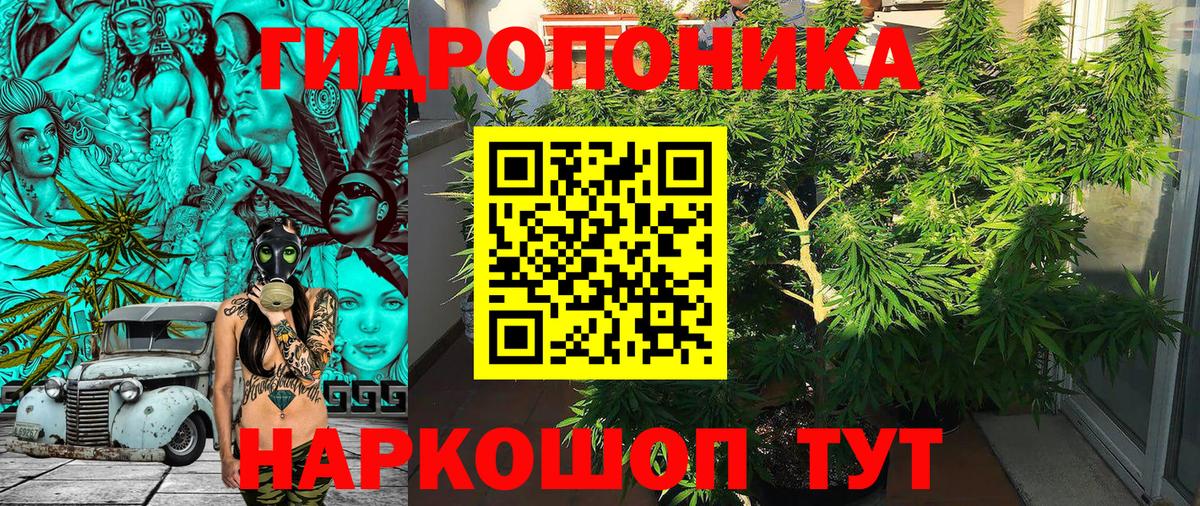 МАРИХУАНА White Widow  Каннабис гибрид  Бошки Шишки VHQ  Марихуана тримм  Грязи 